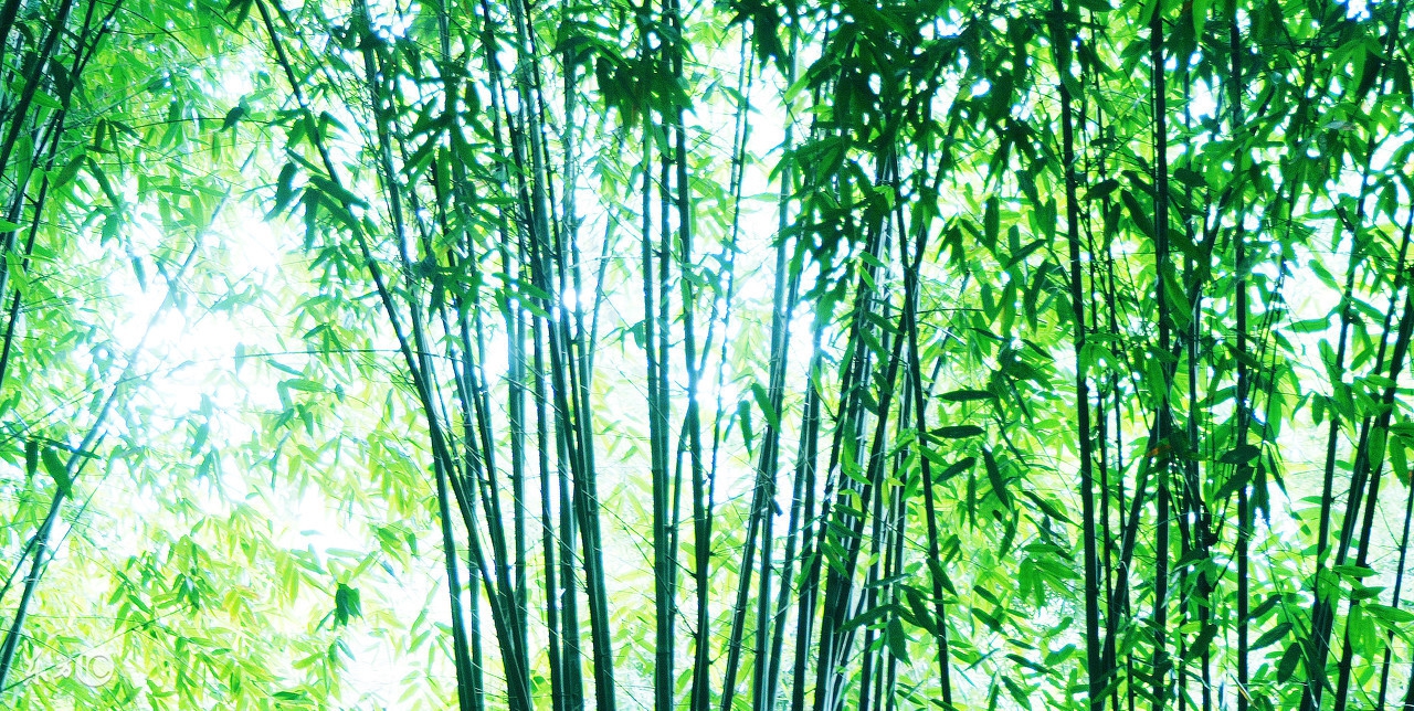 你为什么总觉得你很穷,你为什么穷因为认知太低