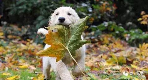 昌平民宿独立小院20人,北京昌平民宿排行榜前十名