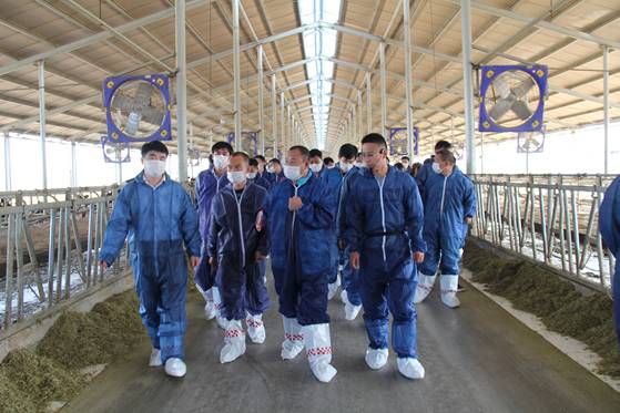 中鼎牧业股票最新消息,中鼎牧业并购