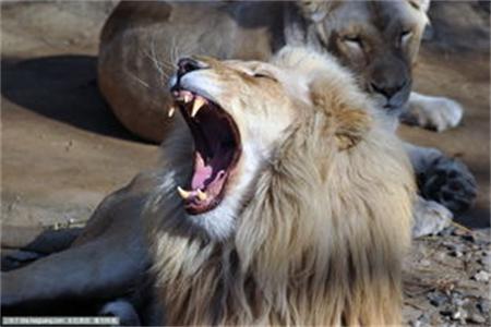 交通事故对方逃逸不配合怎么处理,交通事故对方不配合定损该怎么办