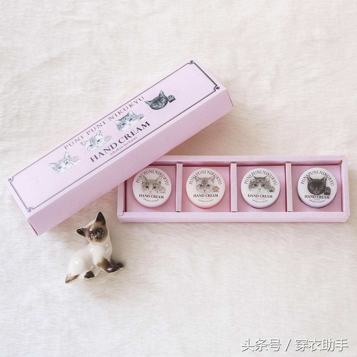 提升猫咪幸福感的东西,提升猫咪智商的玩具