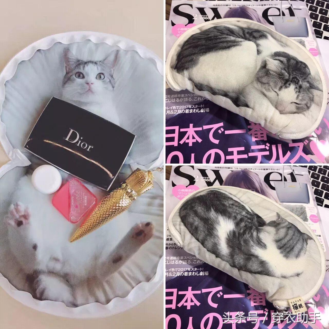 提升猫咪幸福感的东西,提升猫咪智商的玩具