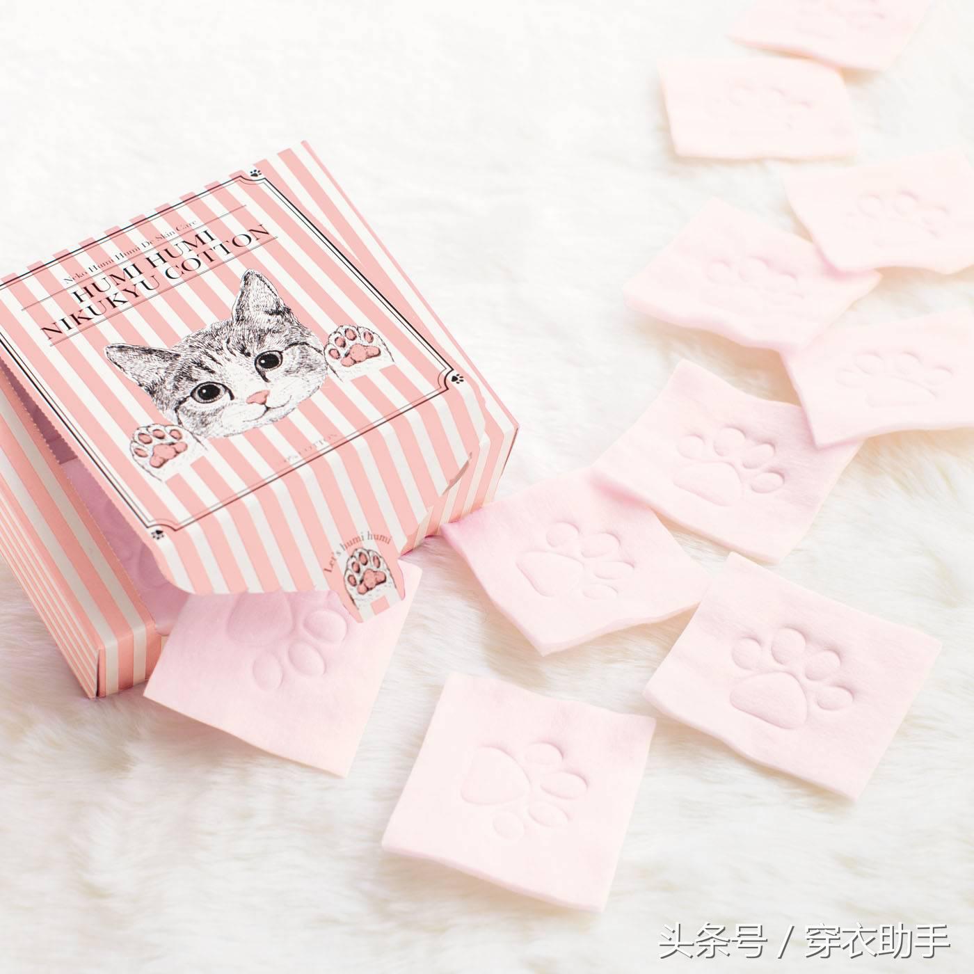 提升猫咪幸福感的东西,提升猫咪智商的玩具