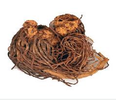 认识常见中草药,认识各种草药视频