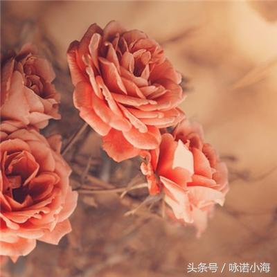 爱是依赖不依赖不是爱,爱就是一种互相依赖吗