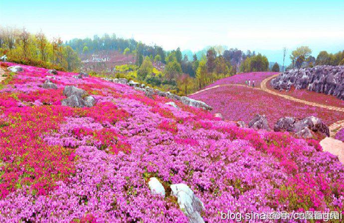 西成高铁沿线旅游,川西北高铁沿线旅游景点