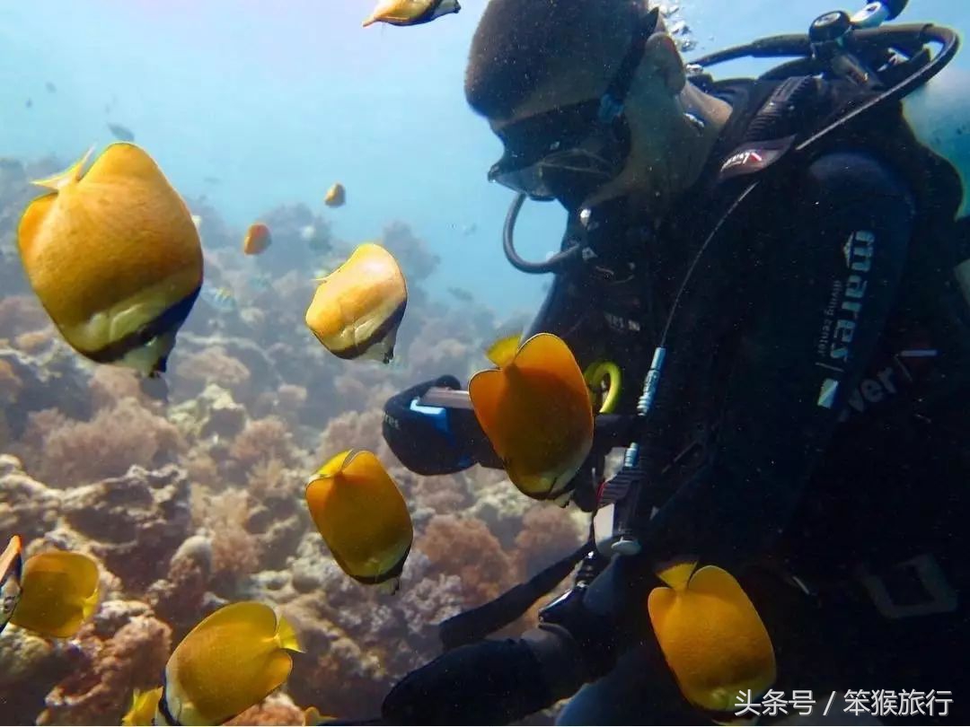 如何征战朋友圈？这个超洗眼睛的地方可落地签一周预算5K+