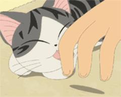 提升猫咪幸福感的东西,提升猫咪智商的玩具