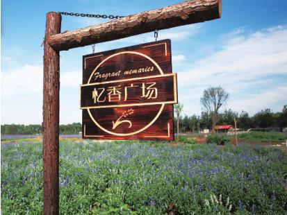 京郊采摘,秋天京郊采摘好去处