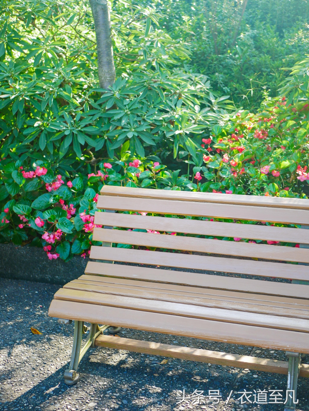 名古屋周边自由行推荐,日本名古屋一日游攻略住宿