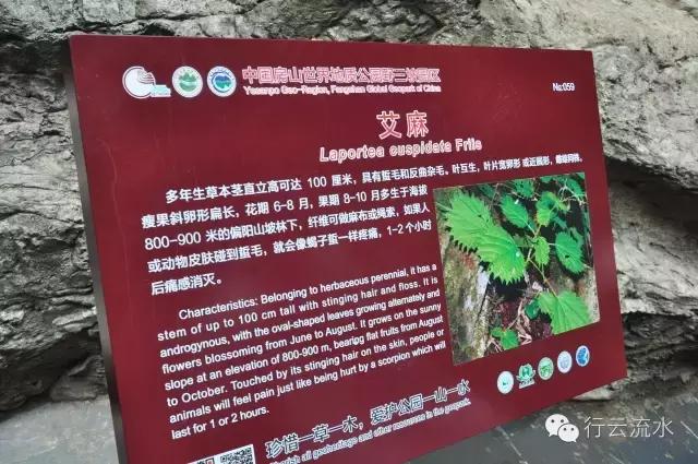 野三坡返京,野三坡之旅