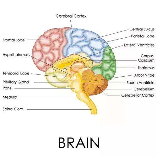 长沙第十届运动会击剑,长沙青少年击剑公开赛