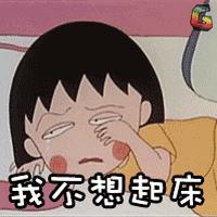 提升猫咪幸福感的东西,提升猫咪智商的玩具