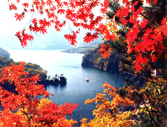 本溪旅游枫叶,最美枫叶本溪