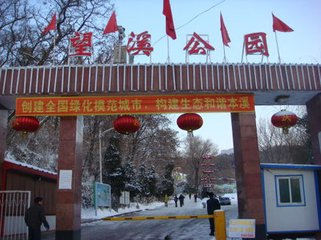 本溪旅游枫叶,最美枫叶本溪