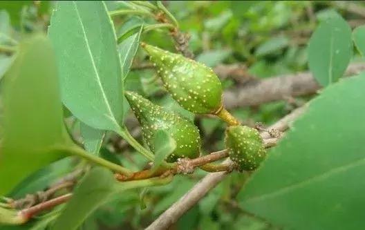 荀子的故里,荀子故里荀子诞生地纪念馆