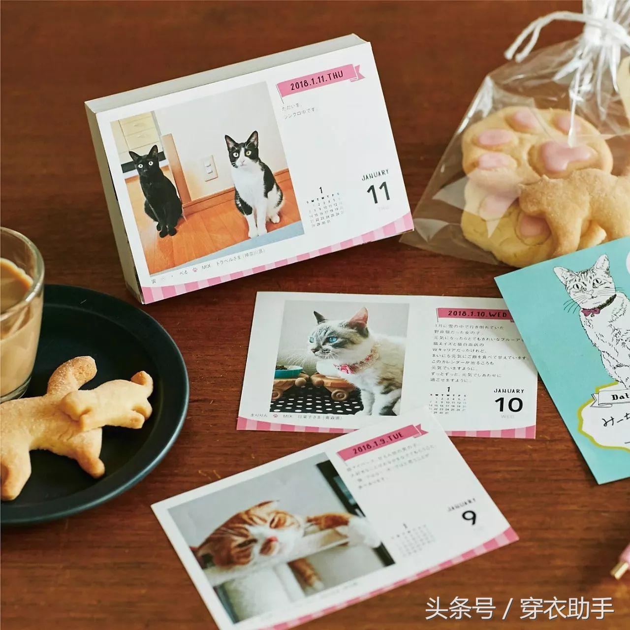 提升猫咪幸福感的东西,提升猫咪智商的玩具