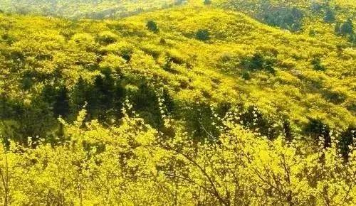 荀子的故里,荀子故里荀子诞生地纪念馆