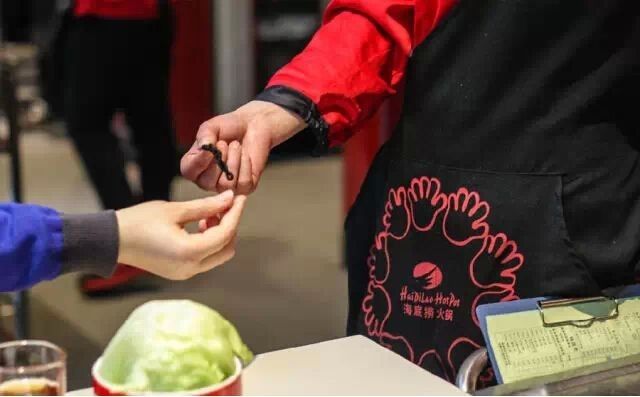 海底捞喜茶契约文化,喜茶和海底捞哪个好