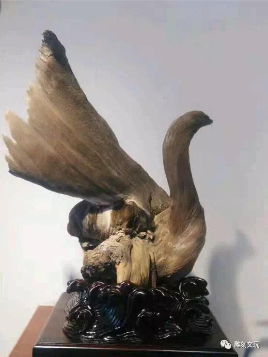 崖柏的正确玩法,崖柏的认识方法