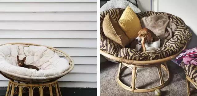 舒适而又高级的懒人椅,史上最舒服的椅子十大排名