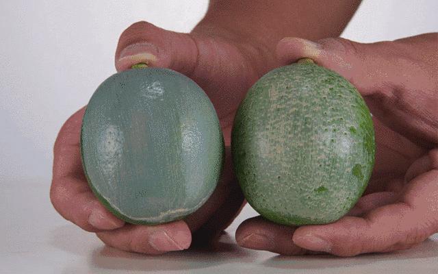 濞滄墡鍚屾缁胯壊濂楄,濞滄墡鍚屾鍥藉唴鐜拌揣