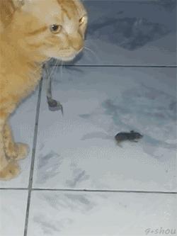 有个特别爱笑的女朋友,有一个积极乐观的女朋友