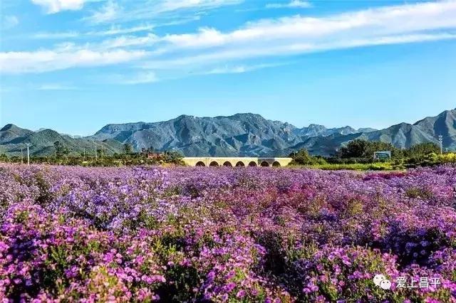 十一假期旅游推荐北京昌平,昌平九月周边游一日游自驾游