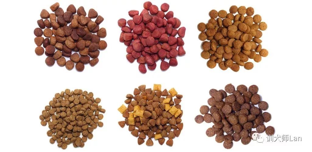 狗狗保护牙齿的方法,狗狗怎么保护牙齿