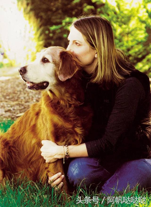 纳豆对抑郁症的好处,抑郁症养狗有好处吗