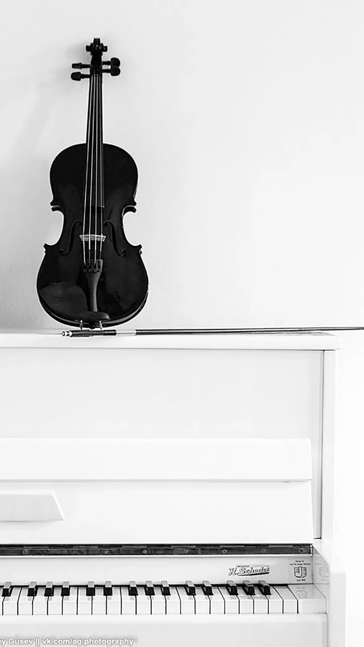 黑白简约手机壁纸超清全面屏,黑白简约壁纸苹果图案