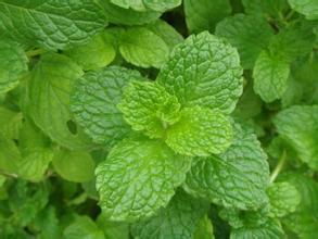 感冒鼻塞咳嗽止咳最快的一招秘方,咳嗽痰多气逆鼻塞中药