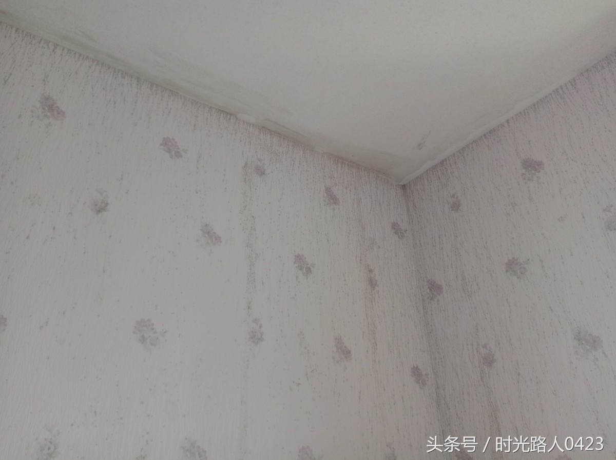 家里墙纸发霉了想重头弄怎么搞,室内墙纸发霉解决办法