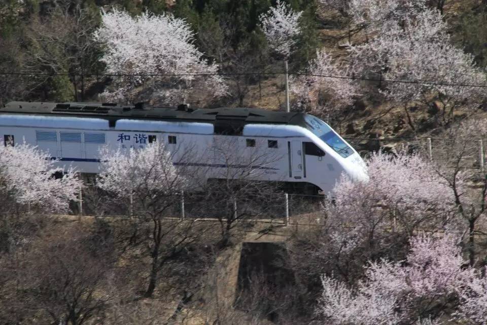 开往春天的列车图片唯美,开往春天的列车看图作文