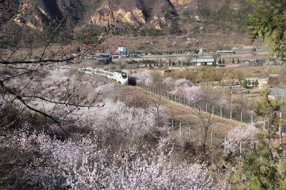 开往春天的列车图片唯美,开往春天的列车看图作文