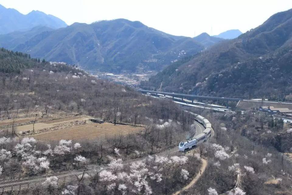 开往春天的列车图片唯美,开往春天的列车看图作文