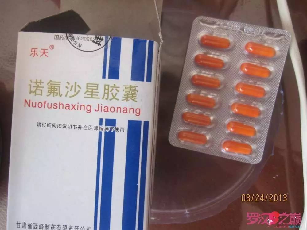 慢性肠炎的症状表现及治疗方法,慢性肠炎用中医还是西医治疗好
