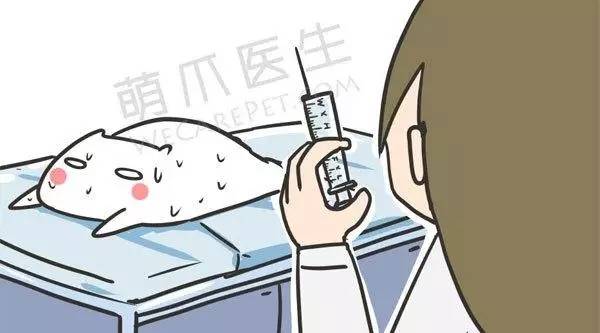 狗狗免疫针怎么打,狗狗疫苗该怎么打才合理