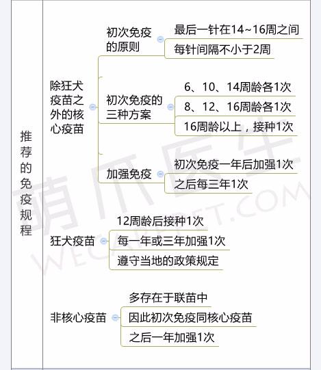 狗狗免疫针怎么打,狗狗疫苗该怎么打才合理