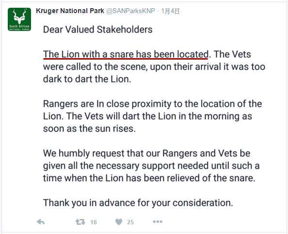 为活下去，重伤的狮子痛苦的趴在路中央求救，颇深的伤痕令人不舍