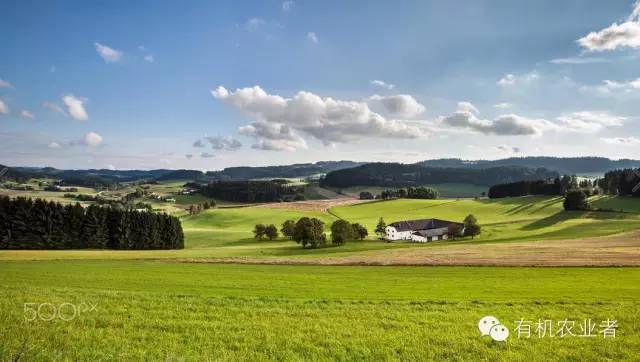 曾经结伴同行,曾经一起走过的路图片
