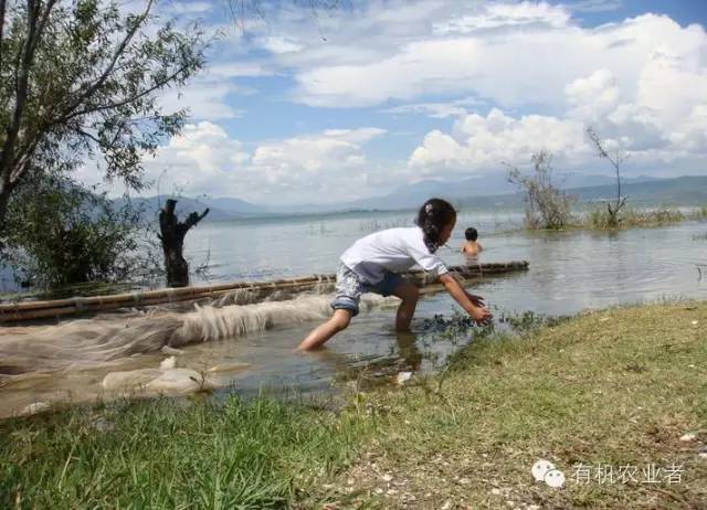 曾经结伴同行,曾经一起走过的路图片