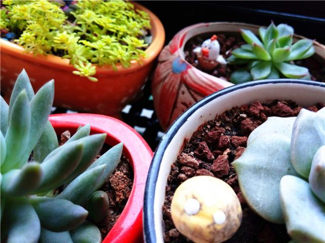 屏下指纹千元平价机,指纹千元机性价比高的手机2021