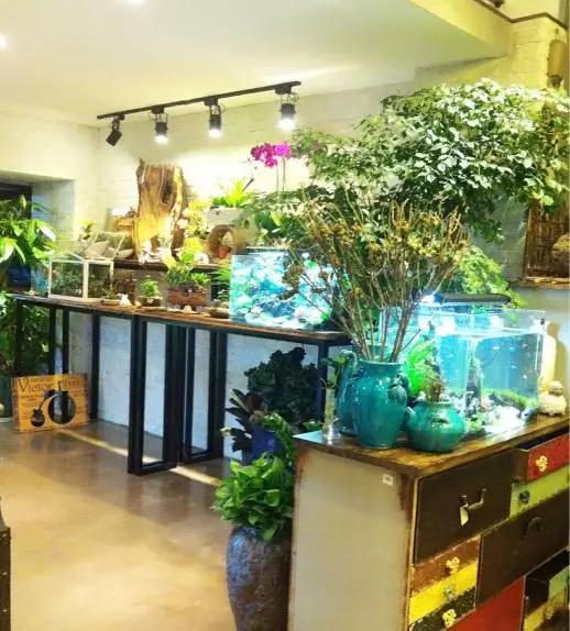 武汉阳逻花店,武汉武昌花店送花