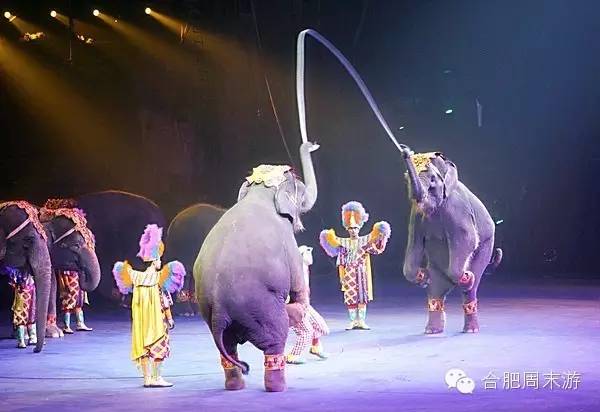 合肥玩的攻略,合肥游玩攻略刺激项目