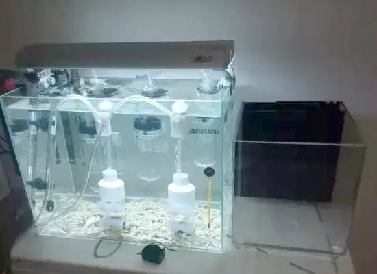 开缸的日记,开缸日记小鱼缸