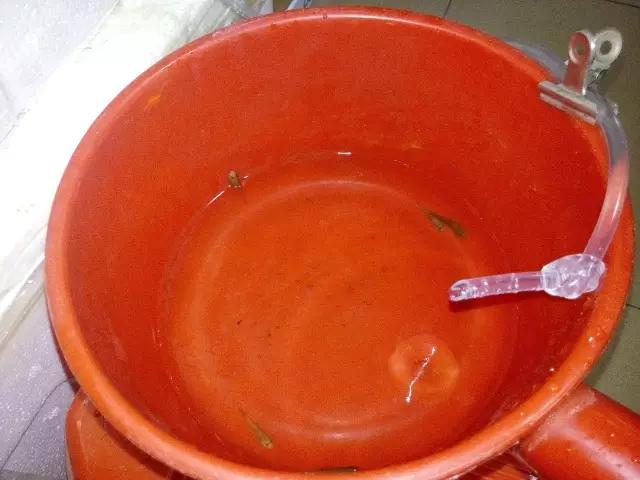 开缸的日记,开缸日记小鱼缸