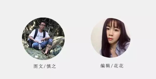 开缸的日记,开缸日记小鱼缸