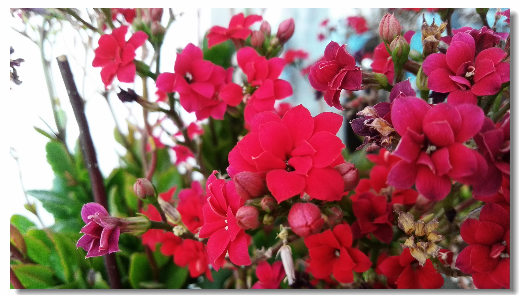 海信a151测评,海信a100评测