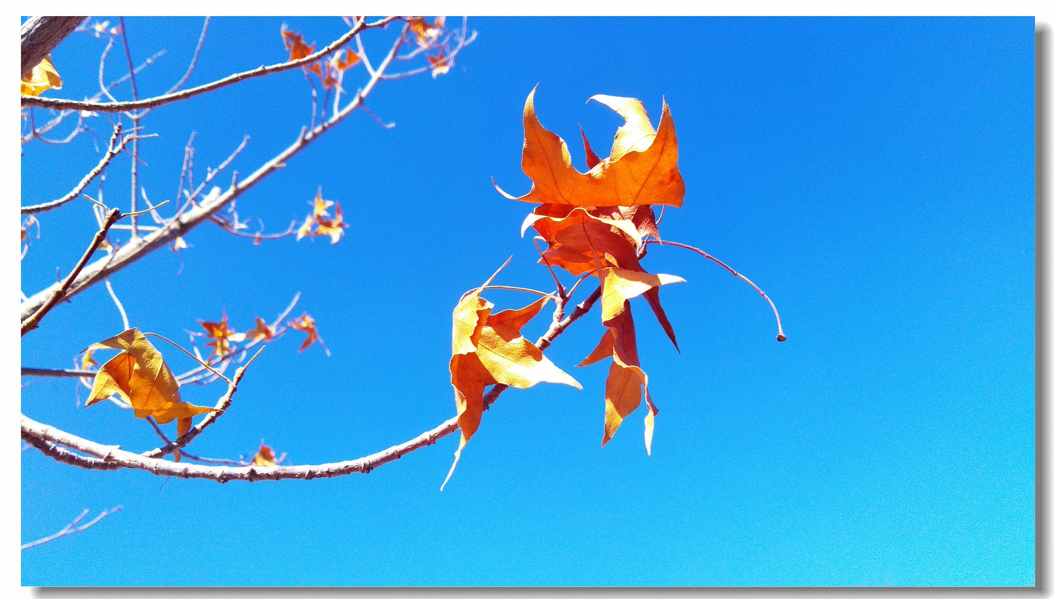 海信a151测评,海信a100评测